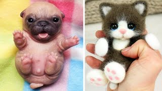 Cute Baby Animals Videos Compilation  Funny and Cute Moment of the Animals 17  Cutest Animals [upl. by Ramraj748]