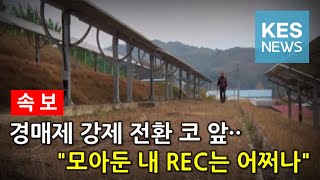 속보 quot태양광 REC 보조금 폐지 수순quot [upl. by Ayoted]