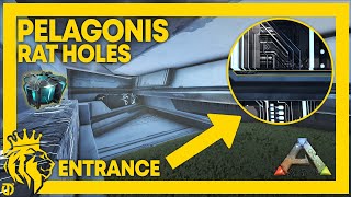 TOP 5 PELAGONIS Rat Holes on ARK  ARK Survival Evolved [upl. by Eilak]