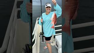 Ultimate Fishing in Biloxi Charter Fishing the Gulf biloxi [upl. by Rexer]