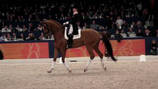 Parzival and Adelinde 2010 Stallion Show Part 1 of 2 [upl. by Dewitt]