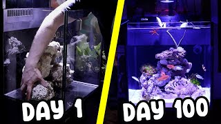 Creating a Reef Aquarium in 100 Days  Red Sea Max Nano G2 [upl. by Domingo]