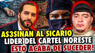 AS3SINAN AL MAYOR SIC4RIO LIDER DEL CARTEL NORESTE😱 Esto acaba de suceder [upl. by Rambort]