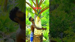 TREE SAVEtamil song viralvideo vivasayi trendingtamilsongs 90kids இயற்கைவிவசாயம் [upl. by Ellwood]