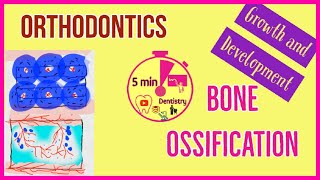 ORTHODONTICS  GROWTH AND DEVELOPMENT  BONE OSSIFICATION  easy dental lecture  5 min DENTISTRY [upl. by Anuaf]