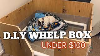 HOW TO MAKE DOG WHELPING BOX UNDER 100  Step by step  French bulldog breeders [upl. by Amhsirak4]