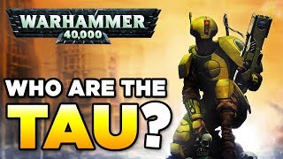 THE TAU  RACE OVERVIEW  Beginners Guide  WARHAMMER 40000 Lore  History [upl. by Fraase]