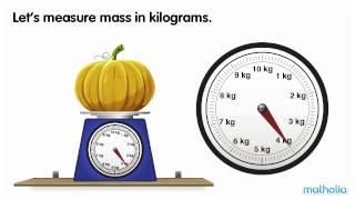 Using a Scale  Kilograms [upl. by Libbi]