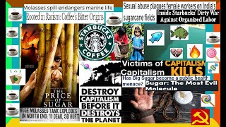 PURE EVIL The Coffee amp Sugar Cane Industry Files DEEPDIVE Capitalism StarBucks True Crime ETC [upl. by Anauqat]