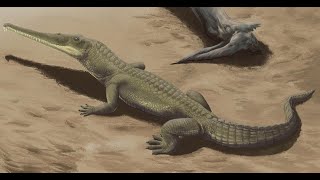 Phytosaurs Crocodile Cousins [upl. by Afihtan]