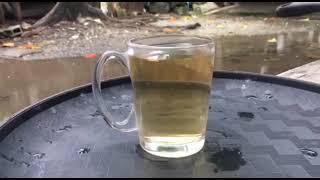 Sambong Tea Informational Video [upl. by Farhsa]