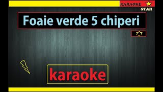 karaoke Foaie verde 5 CHIPERI [upl. by Dubenko270]