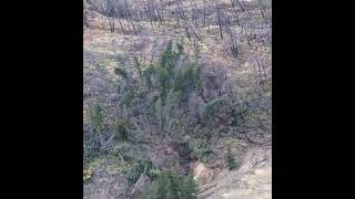 UPDATE Water Beginning to Breach Chilcotin River Landslide  Aug 5 2024 [upl. by Annairdua]