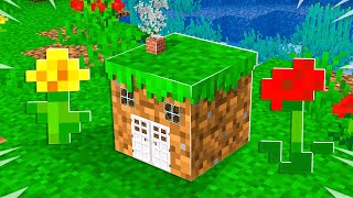 I Built the Worlds SMALLEST Minecraft House tiny [upl. by Stephen]