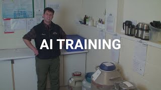 AI Training [upl. by Fraser]