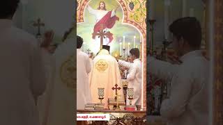 Holy Qurbana  Full Video 👆 Watch Click ▶️ Button  Rev Fr Renjan T John  revfrrenjantjohn [upl. by Tneicniv]