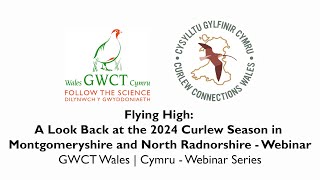 Flying High A Look Back at the 2024 Curlew Season in Montgomeryshire amp North Radnorshire  Webinar [upl. by Hufnagel]