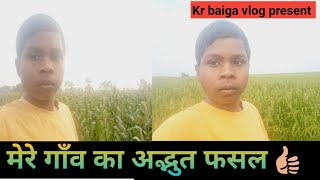 मेरे गाँव का अद्भुत फसल ।। Kr baiga vlog 😑 [upl. by Oguh]