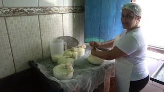 QUEIJO DA CANASTRA E ALMOÇO NA ROÇA DA BRUNA [upl. by Saretta643]