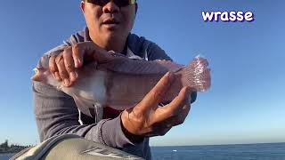 Fishing  Cottesloe Beach Fremantle [upl. by Noreg]