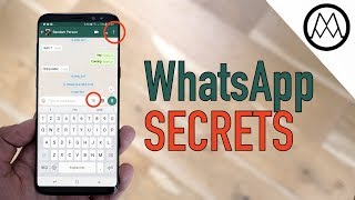 WhatsApp Tricks that EVERYONE should be using [upl. by Brenk853]