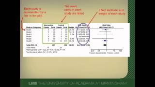 How to Interpret a Forest Plot [upl. by Iinden936]