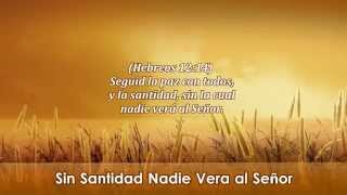 Sin Santidad Nadie Vera al Señor [upl. by Craig134]