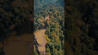 Ciudad perdida Colombia 🇨🇴colombia trecking lostcity aventura [upl. by Gerald]