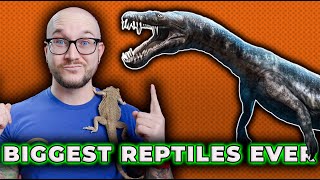 The BIGGEST Reptiles To EVER Exist Are Dinosaurs REALLY Reptiles [upl. by Evey]