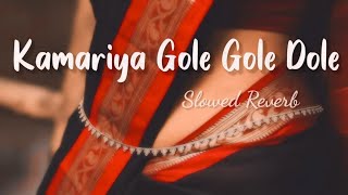 Kamariya Dole 👀slowed reverb  kamariya gole gole dole raja ji lofi song [upl. by Ahseirej]