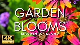 THE MOST BEAUTIFUL GARDENS IN THE WORLD  Stunning Flower Gardens amp Peaceful Music Mackinac Island [upl. by Grantland]