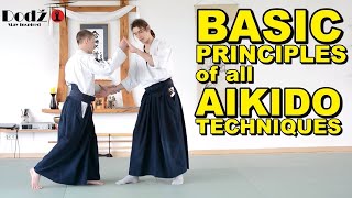 Aikido Principles You MUST Know [upl. by Yecrad82]