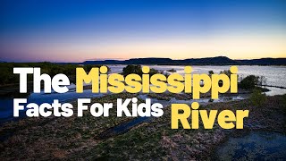 Exploring the Mississippi River Delta Discovering Wetlands and Coastal Habitats for Kids [upl. by Bellina]