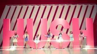 A PINK HUSH MV [upl. by Ettegroeg379]