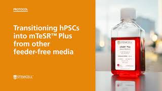 How to Transition Human Pluripotent Stem Cells into mTeSR™ Plus from Other FeederFree Media [upl. by Goss694]