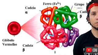 HEMOGLOBINA E O TRANSPORTE DE GASES  Biologia com Patrick Gomes [upl. by Mllly]