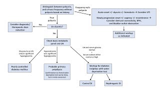 An Approach to Polyuria [upl. by Latrena]