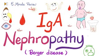 IgA Nephropathy Berger’s Disease  Nephrology 🩸 [upl. by Nnylyar947]