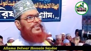 মায়ের মর্যাদা  মাওলানা দেলাওয়ার হুসাইন সাঈদী  Allama Saydee [upl. by Nonaihr]