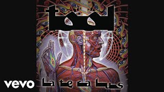 TOOL  Ticks amp Leeches Audio [upl. by Odnumyer829]