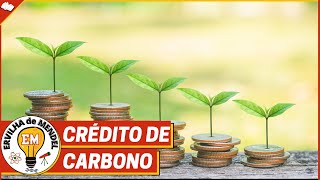 Crédito de carbono  O que é crédito de carbono   Como funciona o crédito de carbono [upl. by Kumar]