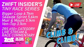 Zwift Insider Tiny Races  Ascending Climbs [upl. by Ayn]