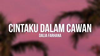 Dalia Farhana  Cintaku Dalam Cawan Lyrics [upl. by Annoeik]