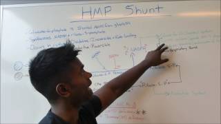 HMP Shunt HIGH YIELD USMLE MADE EASY [upl. by Neemsay455]