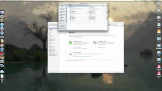 iTunes Library Import [upl. by Acinomal]