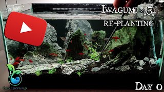 GreenAquariumgr  Iwagumi 45L  Replanting 4K [upl. by Nellahs]