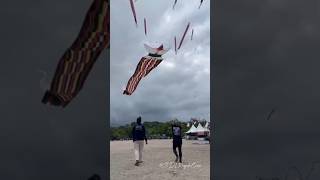 Akhirnya Turun Juga Layangan Janggan rareangon layangan janggan kiteflying shorts [upl. by Aynor]