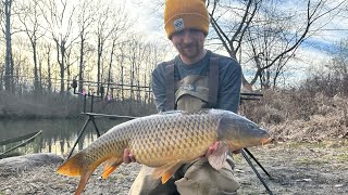 Late Winter Carp Fishing [upl. by Aihsi]