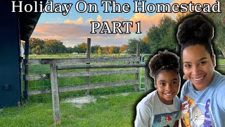 Holiday On The Homestead  How To Make A DIY Christmas Wreath [upl. by Lazar]