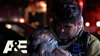 Nightwatch Rush to the Puppy Rescue Season 4 Episode 2  AampE [upl. by Llehsar]